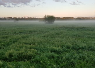 RMK enampakkumine Kuressaare jahialadele