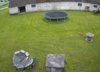 VIDEO: Jõelähtme vallas jäi kaamerasse ilvese ja kassi kokkupuude