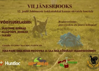 Koerad saavad taas võisteleda jänesejooksus