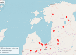 Seakatk on pead tõstmas nii Eestis kui välismaal