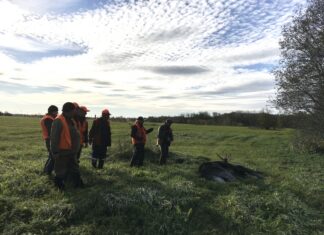 Kordusenampakkumine Kuressaare jahialadele