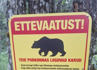 Seeneline leidis metsast ehmatava sildi