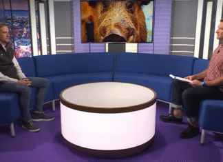 Jahindusnõunik: sigade Aafrika katk levib põhja poole