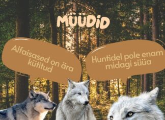 Hundimüüdid, mis ei pea vett