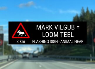 Ettevaatust liikluses – alanud sügis toob metsloomad teele