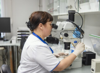 LABRIS alustab tasuta uuringutega metssigade keeritsussi tuvastamiseks – uuendatud 15.09