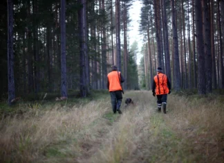 SAK küttimistoetus jahiseltsidele – täiendatud 29.08
