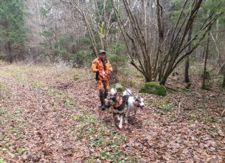 Oktoobriga algab sügisene jahihooaeg