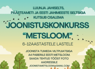 Kutsume osalema joonistuskonkurssil “Metsloom”