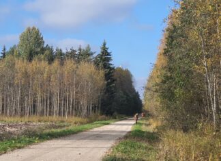 Tartus alustatakse peagi jahikursusega