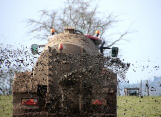 Sigade Aafrika katkuga nakatunud sigalate läga võib ettevõttest välja vedada vaid PTA kirjaliku loaga