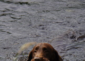 Jahituristidest on alles jäänud vaid linnukütid