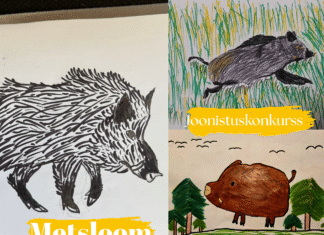 Joonistusvõistlus “Metsloom” tõi kokku üle 1300 joonistuse