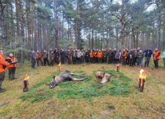 Saaremaal peeti RMK sügisjahti