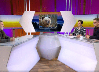 “Telehommikus” räägiti karujahi peatamisest