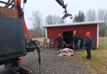 Soolatud põdra- ja hirvenahkade kokkuost