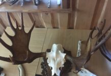 Põdrapäevad on taas tulekul!