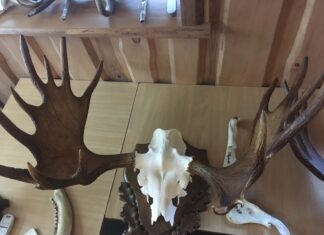 Põdrapäevad on taas tulekul!