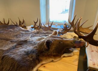 Kas tunned ulukinahku? Testi oma teadmisi