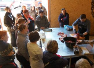 Metssea liha ei tohi värskena või külmutatuna restorani jõuda